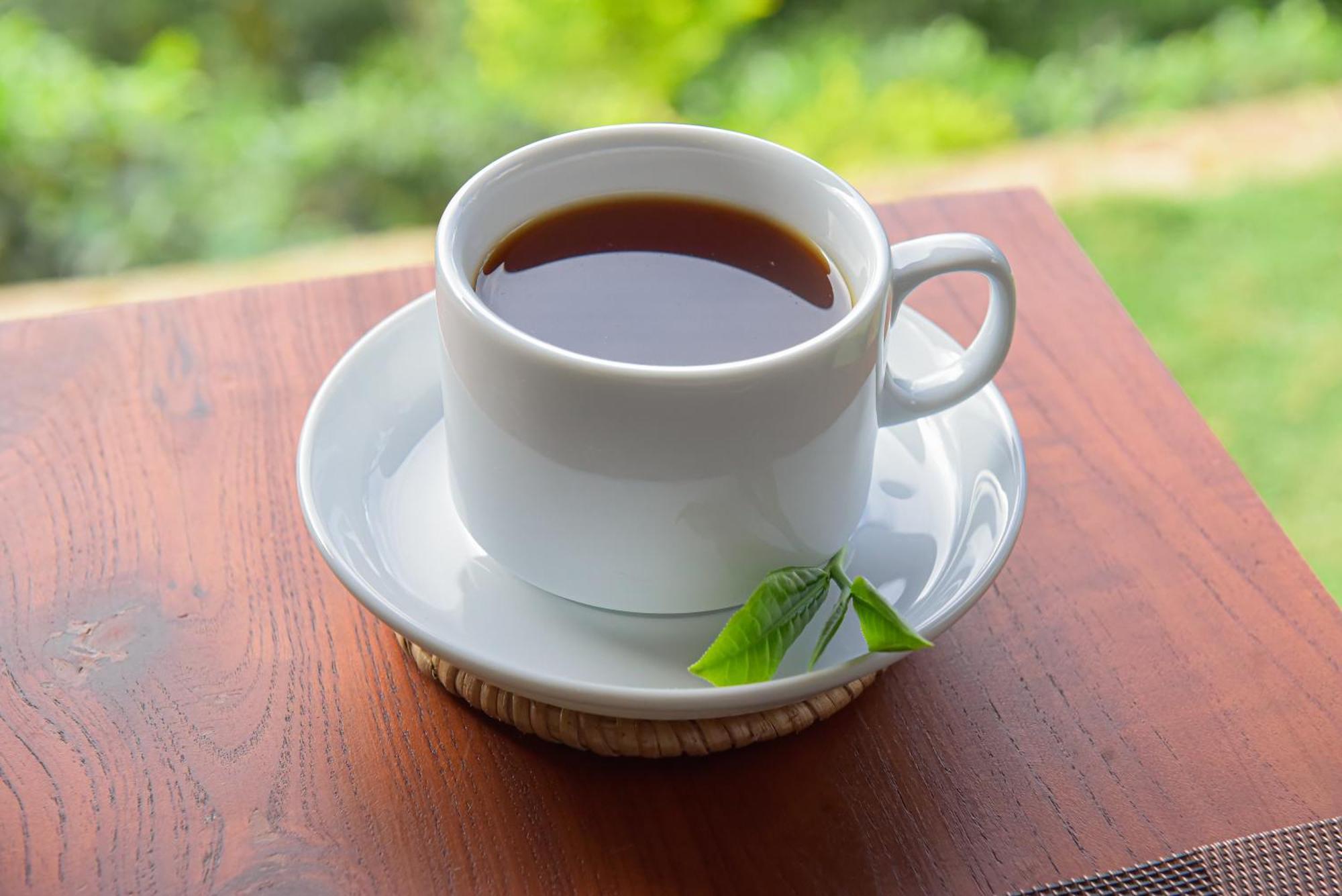 Tea Hills Ella Hotel Екстериор снимка